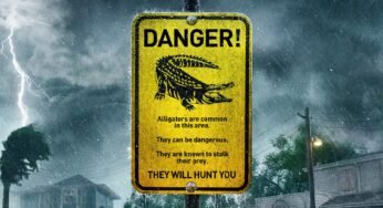Movie Review – Crawl