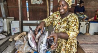 The Fishmongers of Makoko