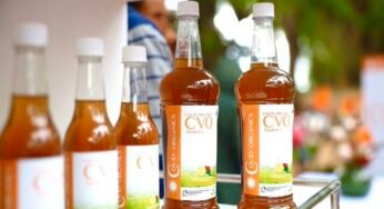Madascovidscam-19: Six Reasons Why Rubbish African Remedies are So Popular