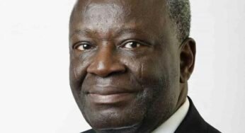 Ibrahim Agboola Gambari: Chief of Staff or Economic Policy Tsar?