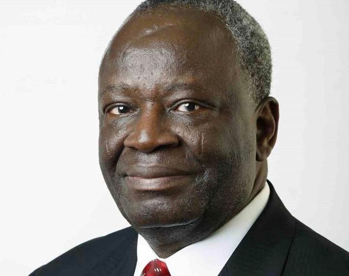Ibrahim Agboola Gambari: Chief of Staff or Economic Policy Tsar?