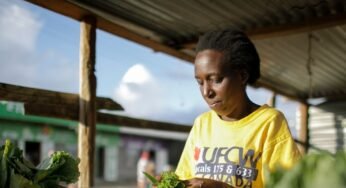 Working Lives: The Agbo Seller Whose First Son is a Medical Doctor