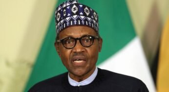 Buhari’s COVID-19 Economic Plan: Old Wine in New Wineskins