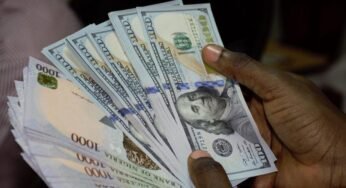 2025 Budget and N1500/$ Exchange Rate Projection: How Has Budgetary Exchange Rate Projections Fared Over The Years?