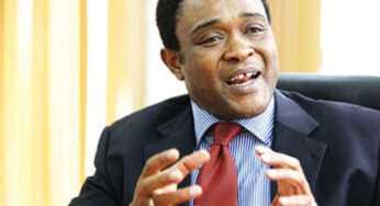 Wonodi, former NBET Boss Says Labour Prevented Foreign Investment in Power Sector