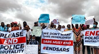 Pandemic Watchdog: How Civil Society Policed Palliatives