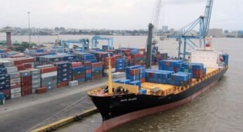 Lagos Free Zone To Host More Than 100 Businesses in Nigeria