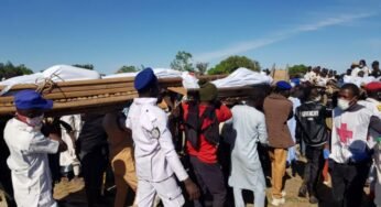 Gruesome Murder of 110 Rice Farmers in Borno Village Sparks Outrage