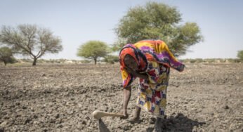 UN Warns of Heightened Famine Risk in Nigeria, South Sudan, Others