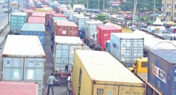 Tons of Cocoa Stranded at Ports Due to Complicated CBN Paperwork