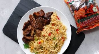 Nigerian Plant-Based Meat Startup, VeggieVictory, Secures Funding from Sweden
