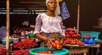 Driving capital into Africa’s essential sectors
