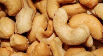 Ghana’s Surging Cashew Exports: Creating Jobs from Processing