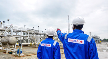Bello Rabiu and Babs Omotowa Resign from Seplat Energy Board Following NNPC Appointments