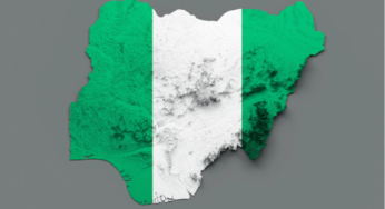 Saving Nigeria: The Next President Must Quickly Shut the Money Tap