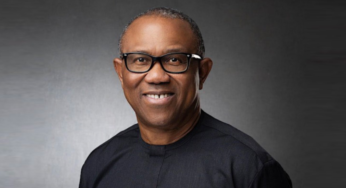 Peter Obi Declares 2027 Presidential Bid with One-Term Pledge