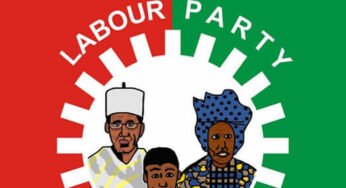 Is Labour Party the New Force or the New APGA?