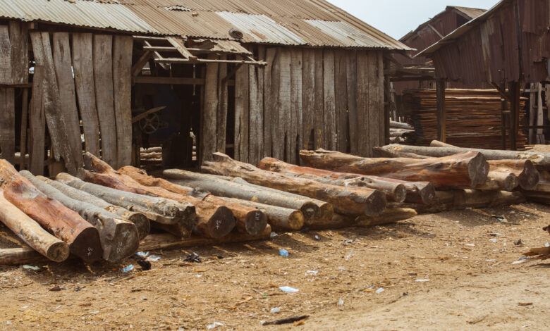 Lagos logwood