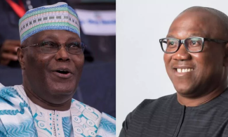 Rational Incompetence: The Atiku and Peter Obi Campaigns Compared