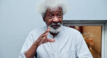 Wole Soyinka: Obidients’ Futile Attempt to Silence Kongi Over Peter Obi