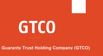 GTCO Holdings and Zenith Bank Become First Banks to Hit N1 Trillion Market Cap