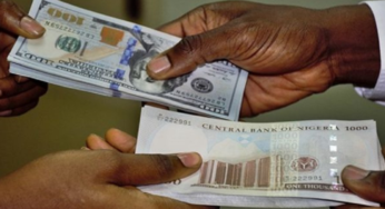 Naira Plunges to Three-Week Low at N1,488.60/$1 on Official Market