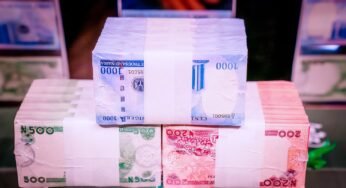 Nigeria Raises N289.6 Billion in October Bond Auction Amid Rising Marginal Rates