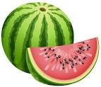 Watermelon fruit