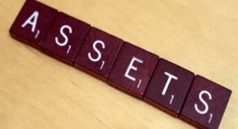 FG to raise N298.4 billion from sales of national assets