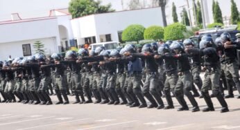 Nigeria needs N3.4 trillion to bridge policing gap -Minister