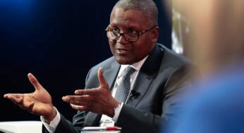 Dangote advocates government protection for domestic industries