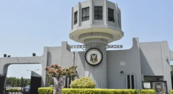 The Crisis of Nigerian Universities: The Rot Starts from the Gate