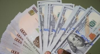 Foreign Capital Inflow to Nigeria Drops by 57.22% in April 2024