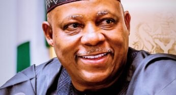 Nigeria secures $600,000 funding during 79th UNGA
