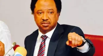Shehu Sani Advocates Election Winners Should Swear By the Bible or Quran That they Truly Won Elections
