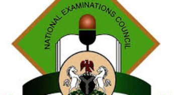 NECO Results Checker: Here’s How to Check Your NECO SSCE 2024 Results