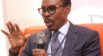 Dollar to Naira: “Naira to Stabilise at N1,555 to the Dollar,” Rewane projects