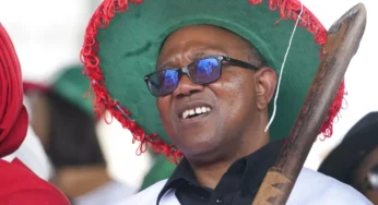Labour Party Was A Liability to Peter Obi During 2023 Elections- Akin Osuntokun