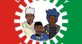 Julius Abure Restored as Labour Party National Chairman by Abuja Federal High Court
