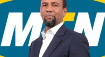 MTN CEO Warns of Possible Shutdown Without Immediate Tariff Hike