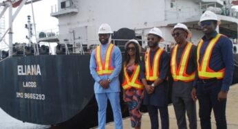 Business File-Stanbic IBTC and Plus Petroleum Purchase