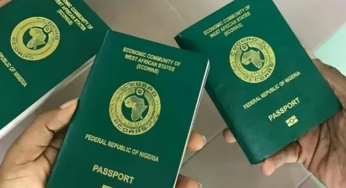 Visa-Free African Countries: Nigeria Places Sixth on List