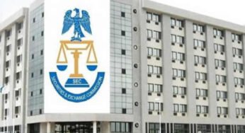 Unregistered investment schemes: SEC raises alarm on Risevest, Stecs