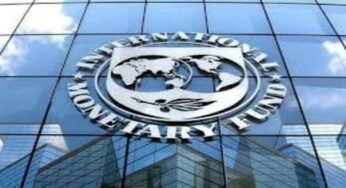 Nigeria’s GDP per capita fell to $835 in 2025 – IMF