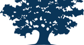 Ashoka is Hiring – Africa Financial Director – Lagos, Nigeria