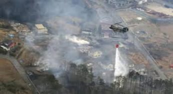 Japan’s Largest Forest Fire in 30 Years: Thousands Evacuated as Blaze Devastates Iwate Prefecture