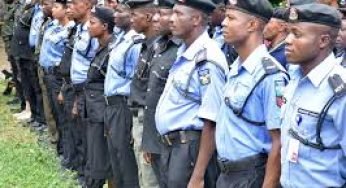 Nigerian Police Force to Recruit 30,000 Additional Officers