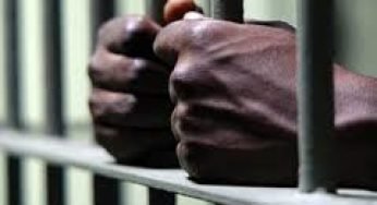 35 year Old Nigerian National Facing 20 year Jail Term For Defrauding Sri Lankan Produce Exporter