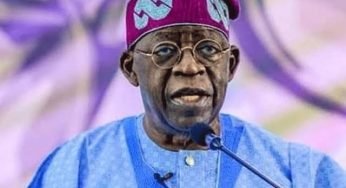 June 12: President Tinubu Rejects One-Party State Narrative