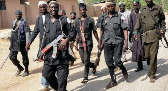 Zamfara Vigilantes Ambush Bandits, Kill 30, Seize 16 Motorcycles Near Dansadau